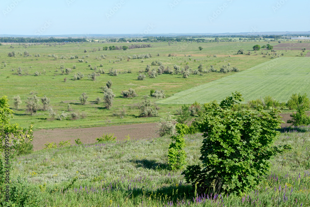 Landscape of rural plain in spring sunlight in Ukraine.