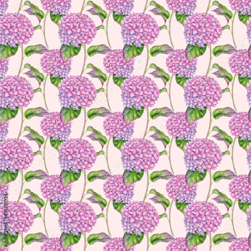Watercolor Hydrangea seamless pattern. Hand painted pink Hortensia flower with leaves and stem on pastel pink background. Flowering plant repeated design for wallpaper, valentine's day, fabrics.