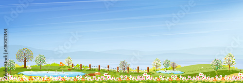 Springtime with blue sky and green meadow on hills,Vector cartoon Spring or Summer village by the lake, Panoramic countryside landscape of farmland with family ducks swimming on the pond.