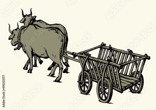 Empty cart drawn by oxen. Vector drawing