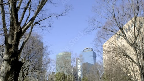 新宿の高層ビル群と青空の映像