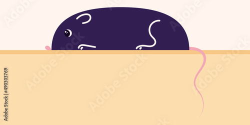 Horizontal poster with a mouse, a witchs familiar. Vector illustration
