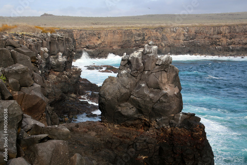 Punta Suarez coast, landscape on the island of Espanola, Galapagos Islands, Ecuador  photo