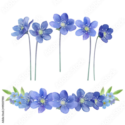 Spring blue flowers for decor, watercolor illustration