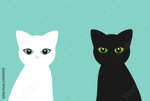 Black and white cats.