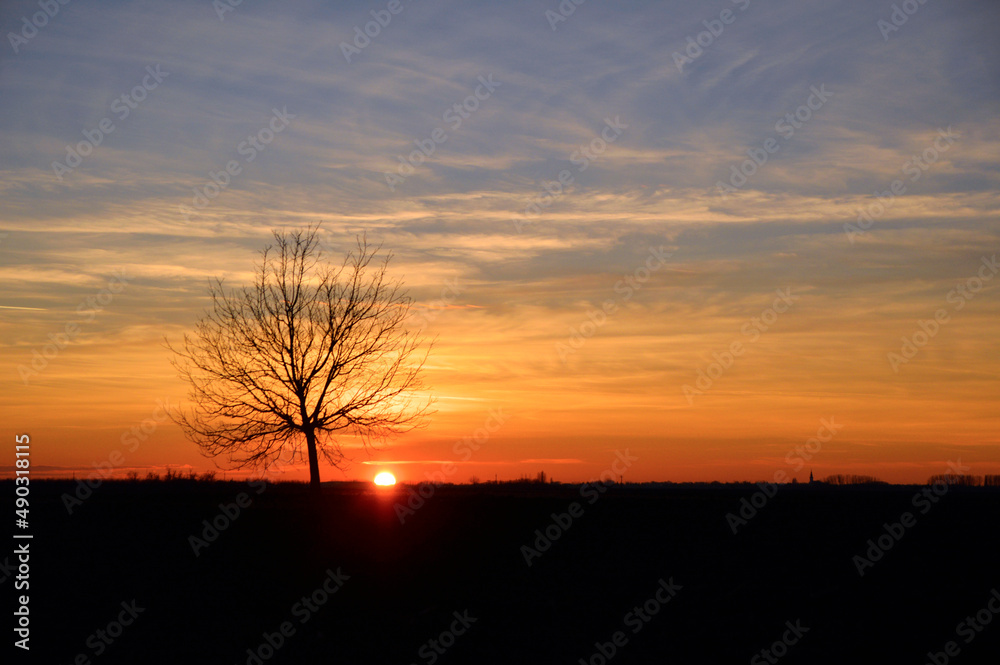 Fototapeta premium sunset in the countryside, Vojvodina