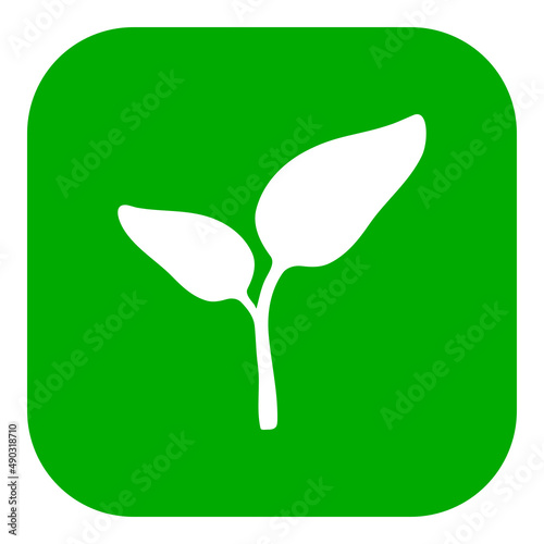 Pflanze und App Icon
