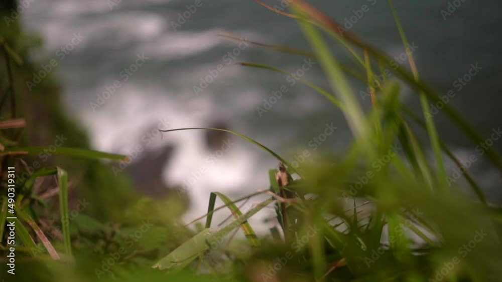Grass growing on the edge of a cliff over a rocky shoreline with waves crashing against the rocks - focus pull Grass growing on the edge of a cliff over a rocky shoreline with waves crashing against the rocks - focus pull