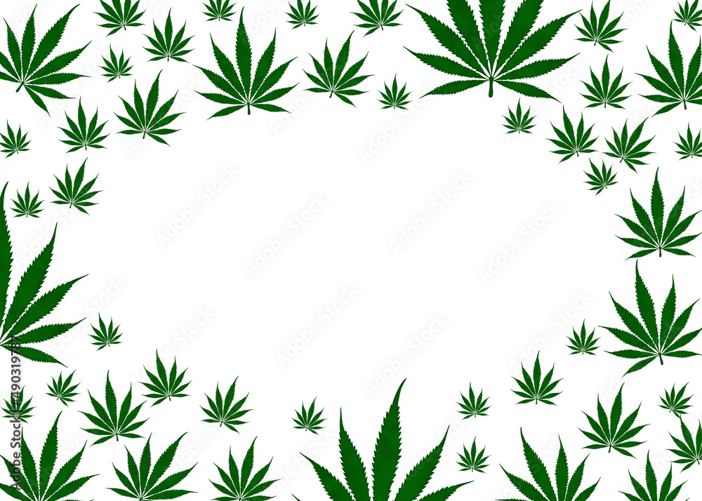 Weed border with green cannabis isolated on white