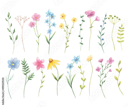 Wildflowers watercolor illustration isolated on white background. Perfect for wedding invitations. Summer flowers.