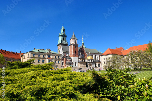 Krakow  Wawel castle in spring time  Poland