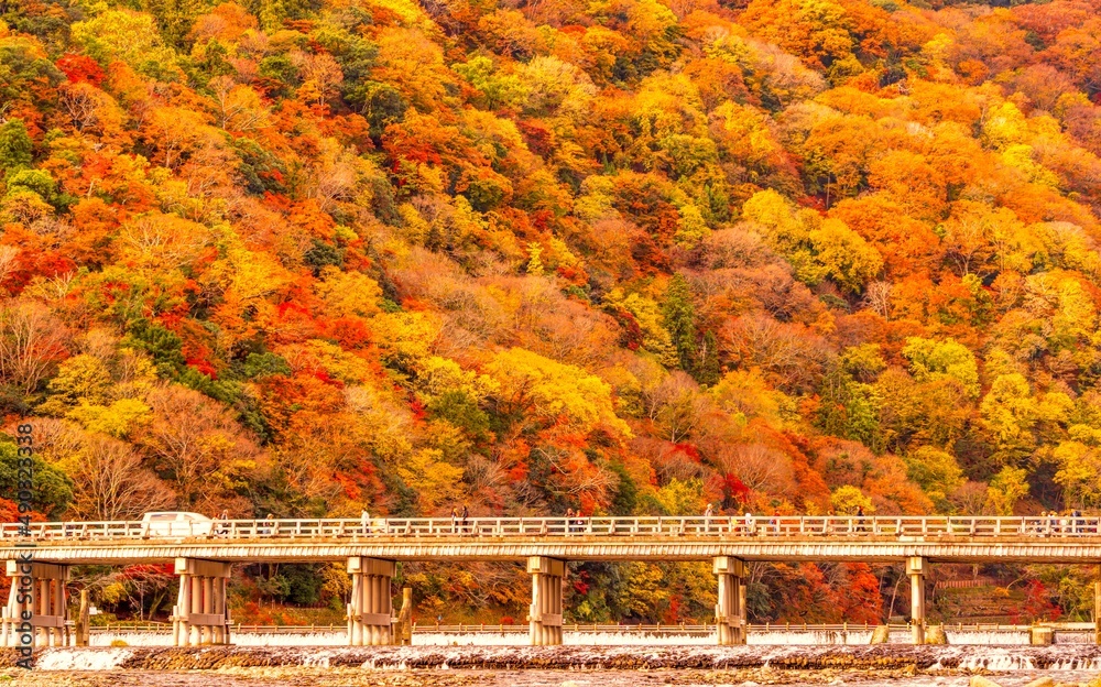 Obraz premium 京都 嵐山の紅葉 