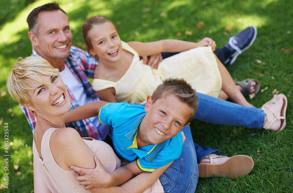 Its turning out to be a memorable summer. A portrait of a happy family sitting on the grass together on a sunny day.