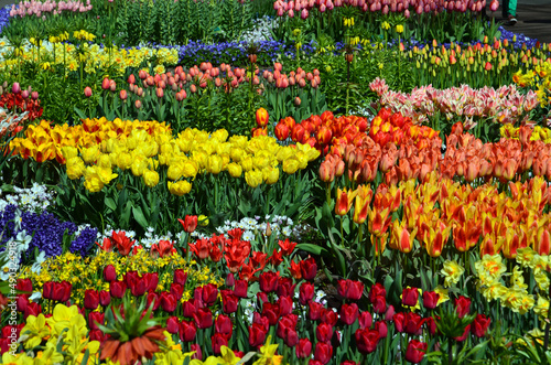 Wallpaper Mural Keukenhof Park Torontodigital.ca