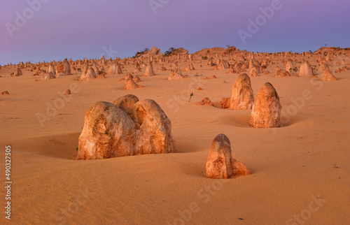 Desert landscape with weathered limestone pillars in the blue hour after sunset in the Pinnacles Desert of Western Australia photo