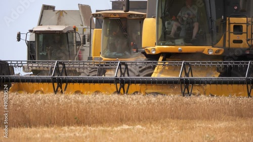 The combine harvester of an agricultural machine harvests from a field of golden ripe wheat.A combine harvester is working in a wheat field.The combine moves across the field and mows wheat