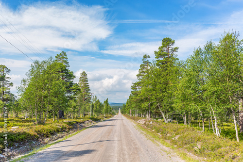 Dirt road in a woodland in the north of Sweden © Lars Johansson