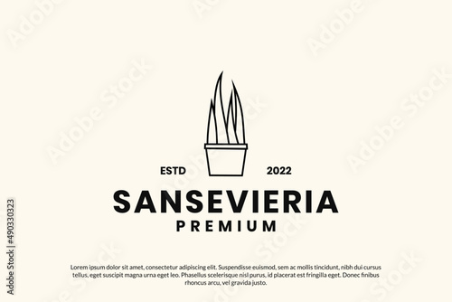 Plant sansevieria logo design vector