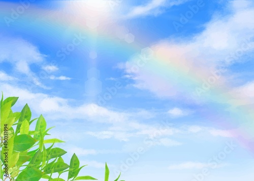 太陽の光差し込む空、雲のある虹のかかった植物のある青空の美しい初夏フレームシンプルな背景素材