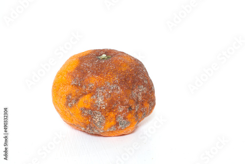 Quadro su tela Rotten orange, moldy mandarin or clementine, damaged tangerine fruit isolated on white background