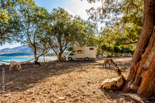 Motorhome RV parked on the beach under a tree among goats, facing the sea, Crete, Greece. photo