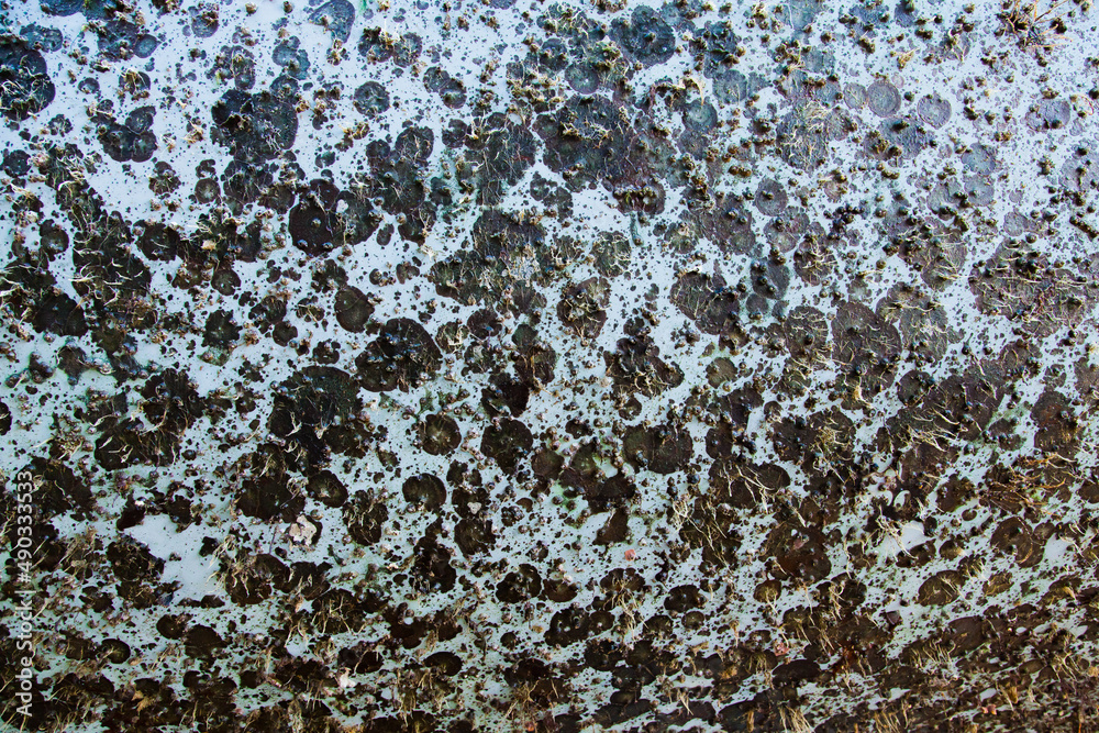 Obraz premium The hull of the yacht is overgrown with marine microorganisms and algae.