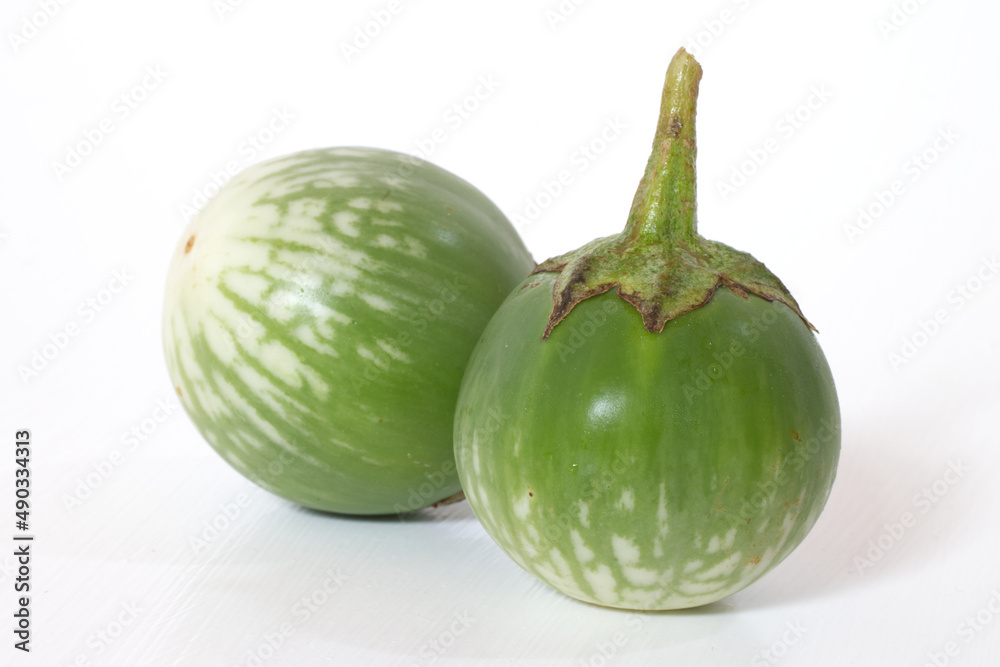 close up of two green white thai eggplant fruit isolated on white background. aubergine plant species of solanum melongena family close up of two green white thai eggplant fruit isolated on white background. aubergine plant species of solanum melongena family