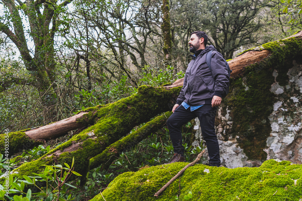 Chico con barba sobre roca en un bosque con niebla mientras hace senderismo Chico con barba sobre roca en un bosque con niebla mientras hace senderismo