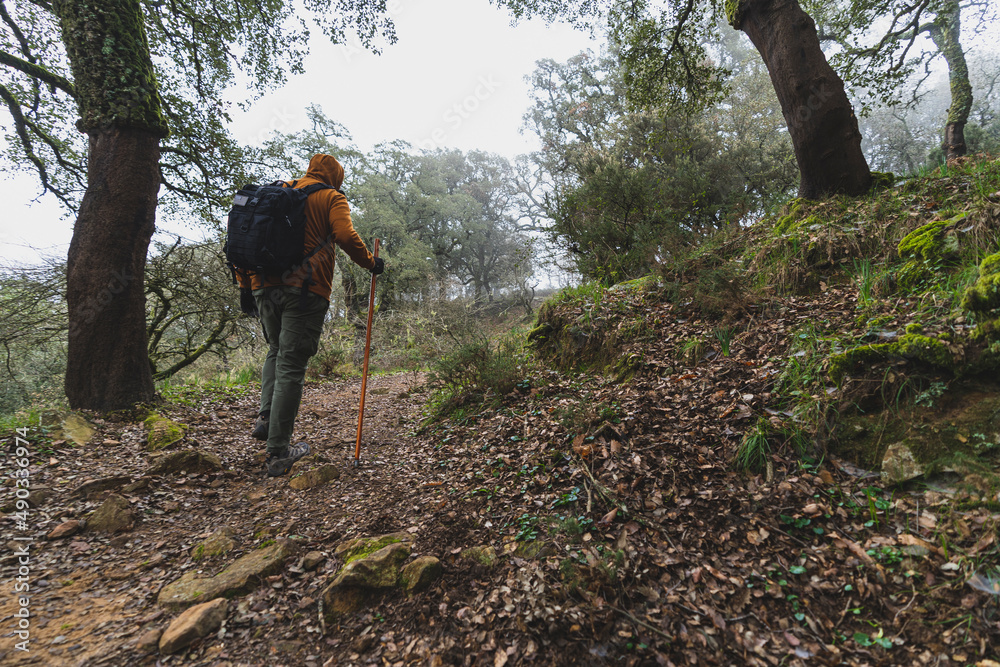 Chico alto con barba con ropa deportiva realizando senderismo por ruta verde en la sauceda con un palo de caminar Chico alto con barba con ropa deportiva realizando senderismo por ruta verde en la sauceda con un palo de caminar