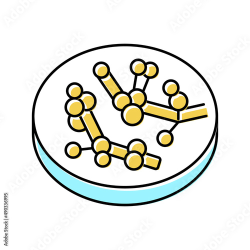 candida fungi albicans color icon vector illustration