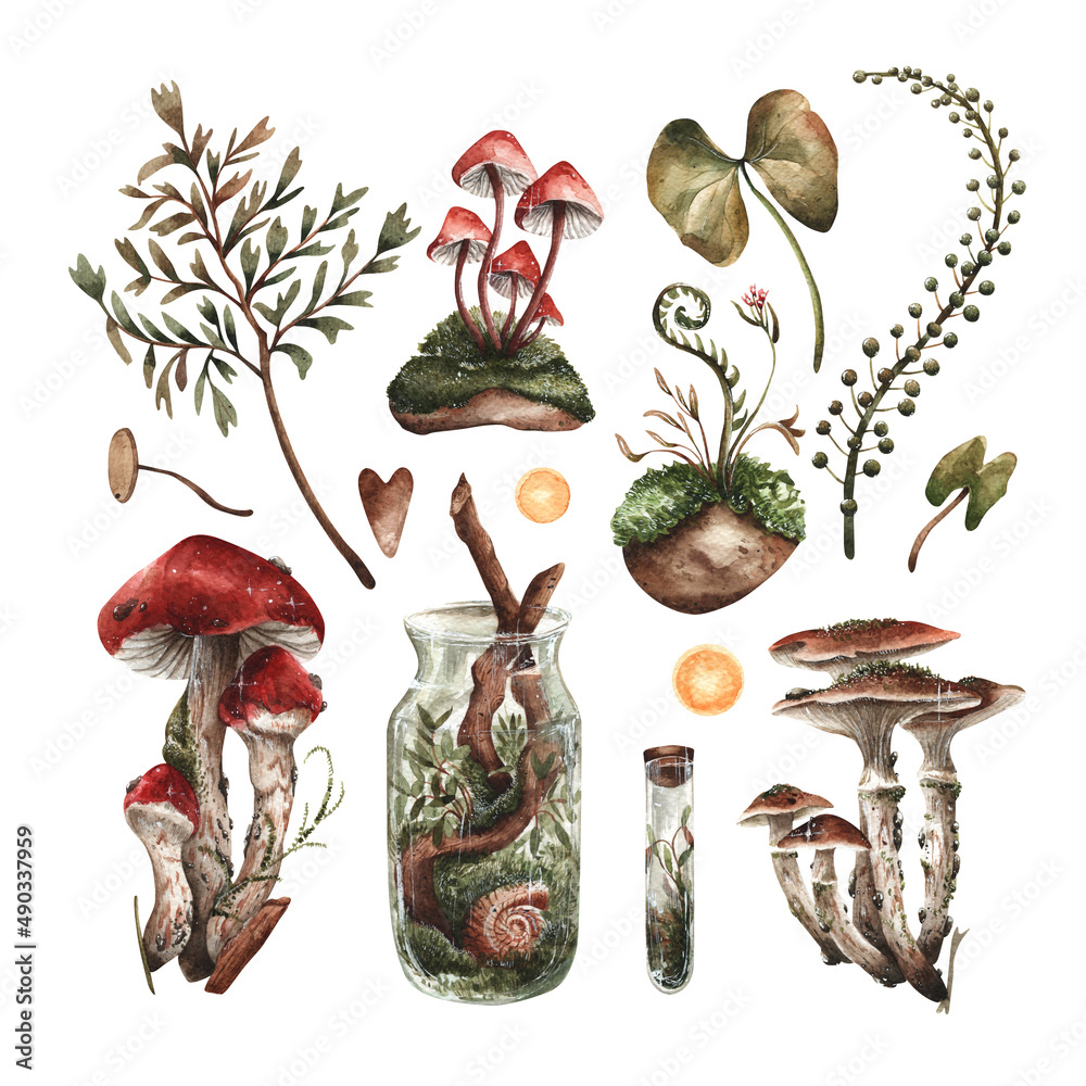 Botanical set of mushrooms - obrazy, fototapety, plakaty 