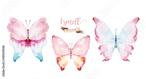 Canvas Print Watercolor colorful butterflies, isolated on white background