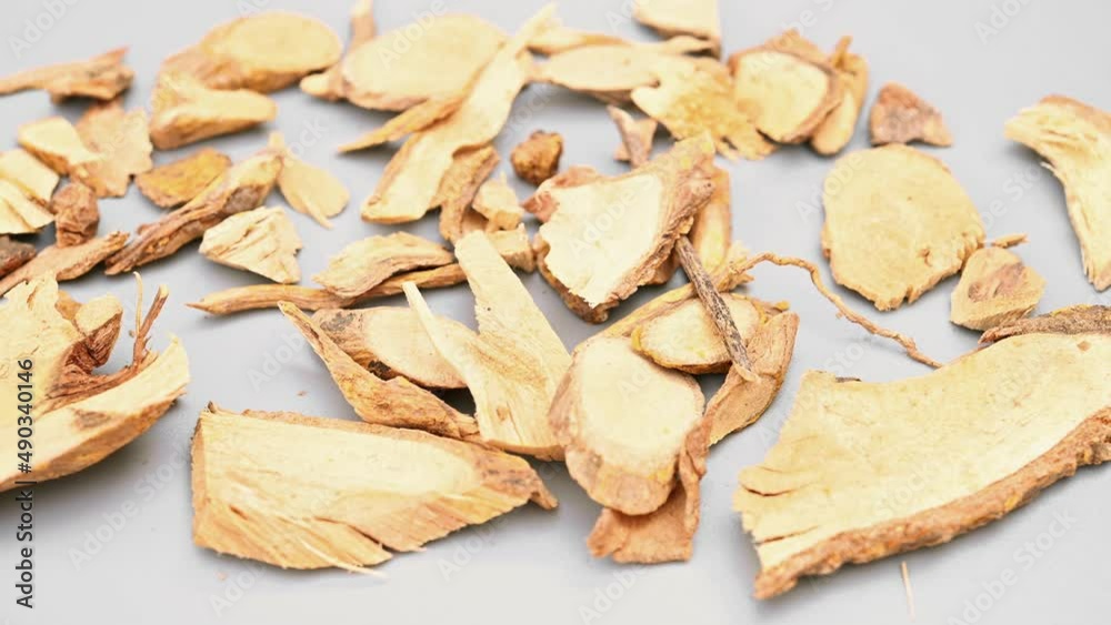 angle pan herb LiangMianZhen or Zanthoxyl Radix or Shinyleaf Pricklyash Root angle pan herb LiangMianZhen or Zanthoxyl Radix or Shinyleaf Pricklyash Root