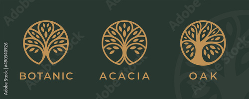 Tree logo icon set design. Garden plant natural symbols template. Tree of life branch with leaves business sign collection. Vector illustration.