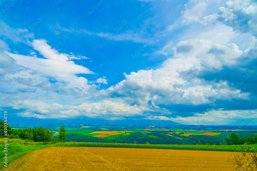 Obraz premium 北海道富良野の平原