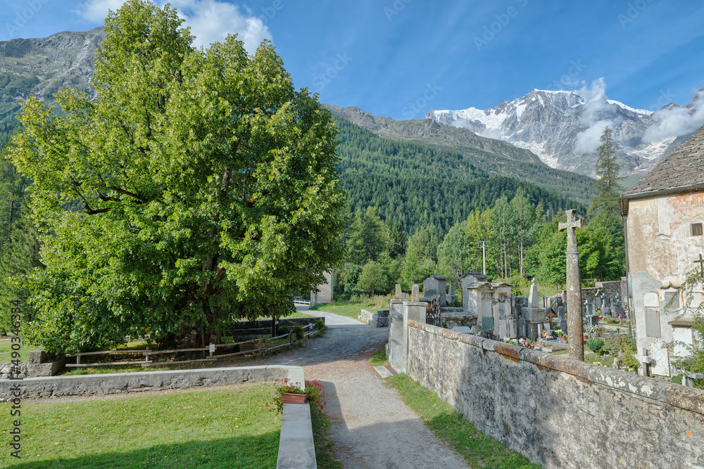 Summer landscape of the Italian Alps, Macugnaga, tourist resort in Piedmont. Macugnaga village with the old church, the historic and famous lime tree 13th century, and Monte Rosa. Anzasca valley Italy