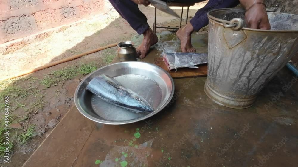 Indian man cutting big huge surmai king fish cutting on wood with knife wide shot Indian man cutting big huge surmai king fish cutting on wood with knife wide shot