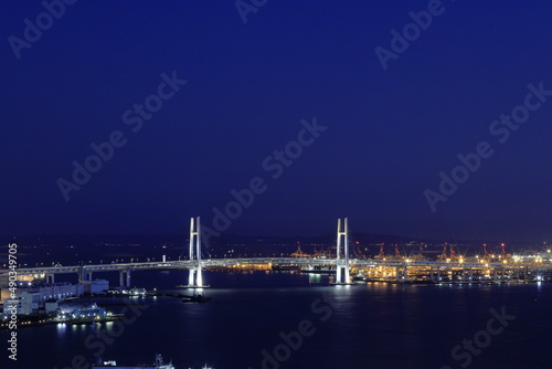 新子安から見た横浜ベイブリッジ (夜景) © ziggy