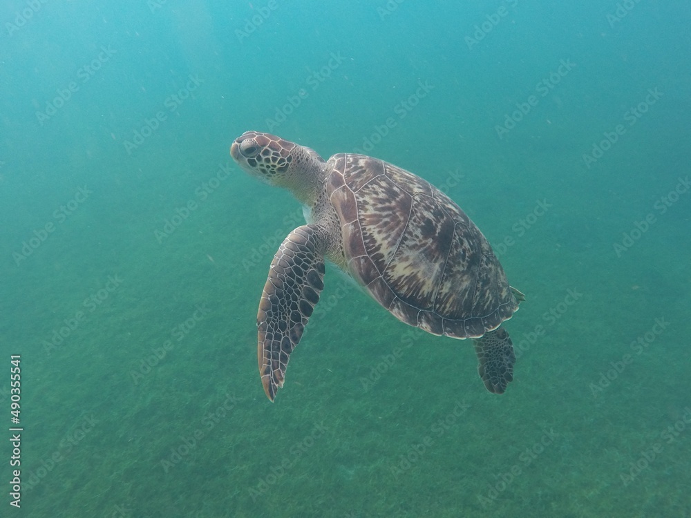 Obraz premium DCIM\100GOPRO\GOPR2988.JPG