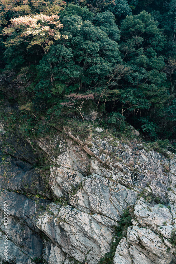 Obraz premium Fall mountain trekking in Japan