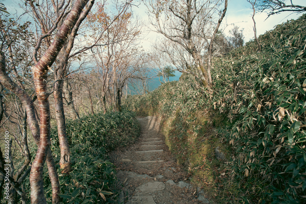 Fototapeta premium Fall mountain trekking in Japan