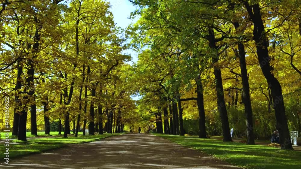 Tsarskoye Selo was the town containing a former residence of the Russian imperial family Tsarskoye Selo was the town containing a former residence of the Russian imperial family