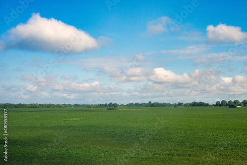 Blue sky with a clouds over green field, Ukraine