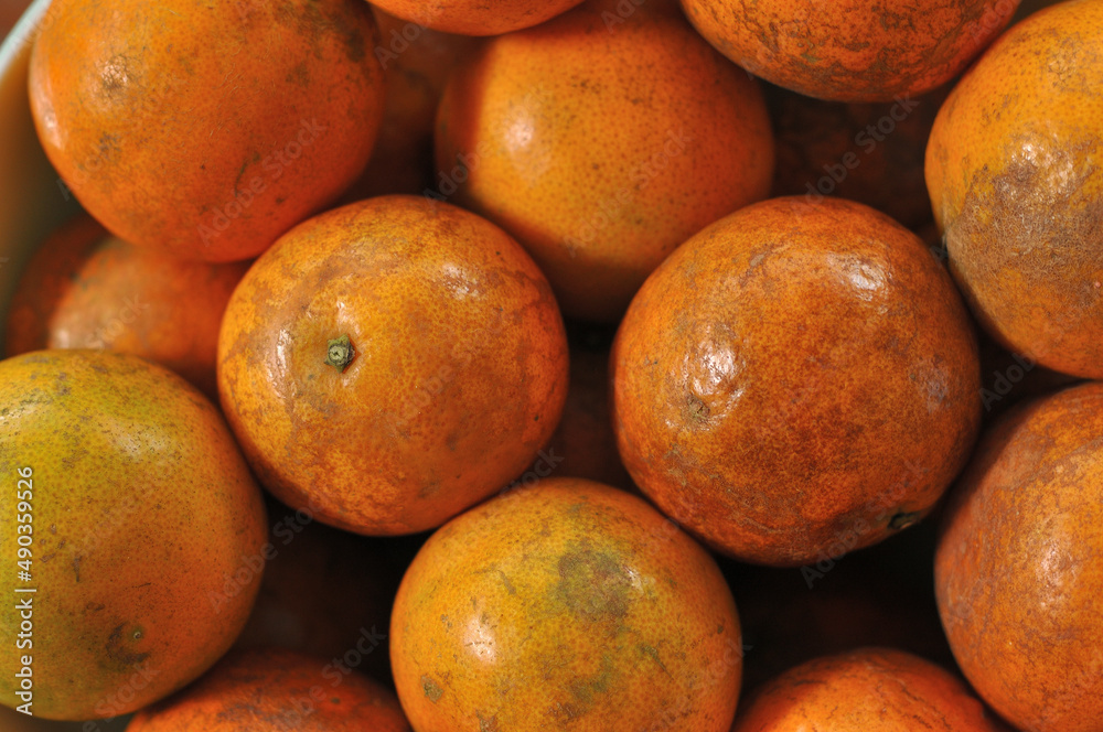 Top view of Ripe Tangerine, Mandarin, Close up of Oranges