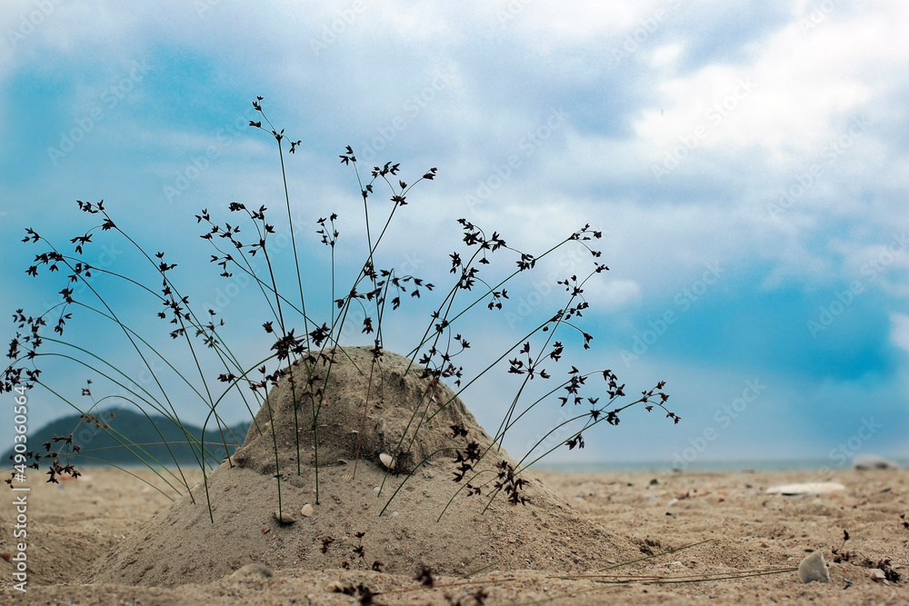 Obraz premium Pile of sand decorated with flowers and grass on the beach.