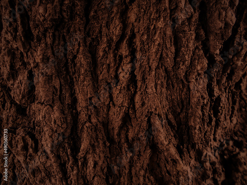 Wooden bark texture. Close Up dark view of Bark on Tree Stump. Old tree, Nature Art