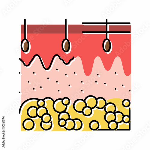 skin human organ color icon vector illustration