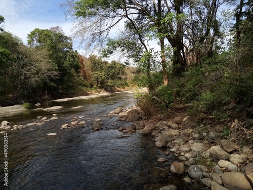 river in the woods