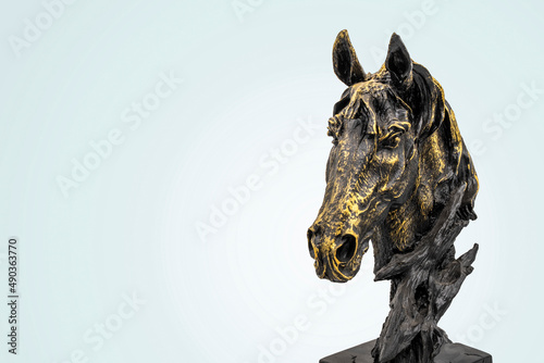  isolated horse head bust. photo