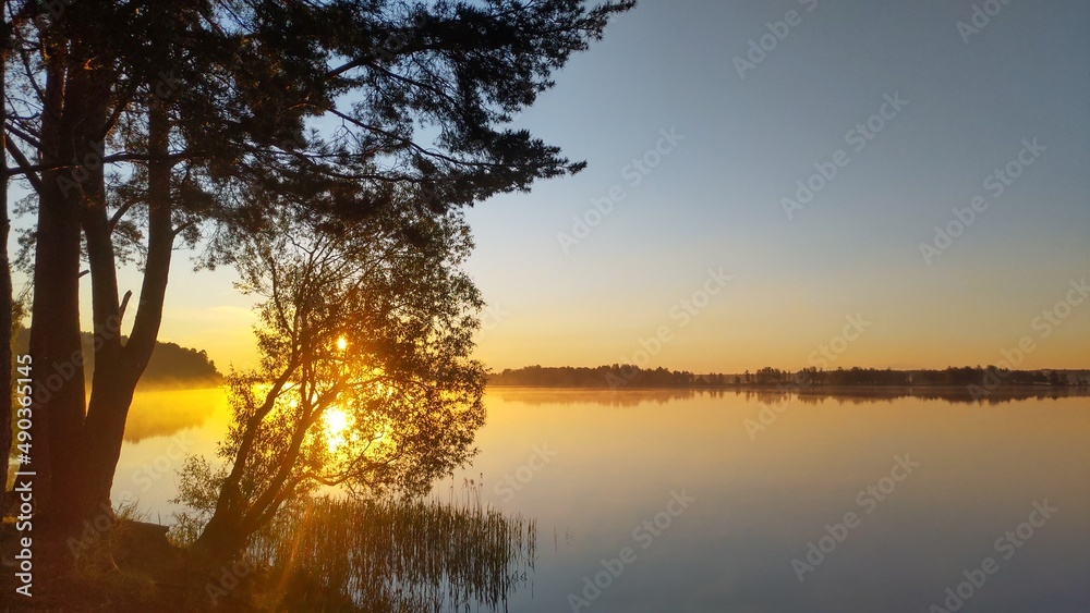 In the morning, the sun rises over the lake and shines through the leaves of a tree. The shores of the lake are covered with forest, with reeds growing in the water. The branches of a pine tree hang 
